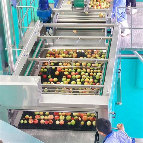 fruit processing machine